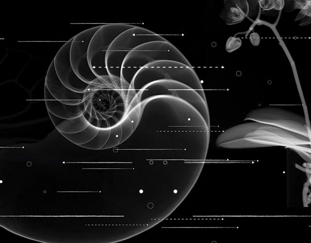 "Imaginaire Scientifique", IKON celebra la scienza con una video installazione per la nuova sede dell'Immaginario Scientifico di Trieste